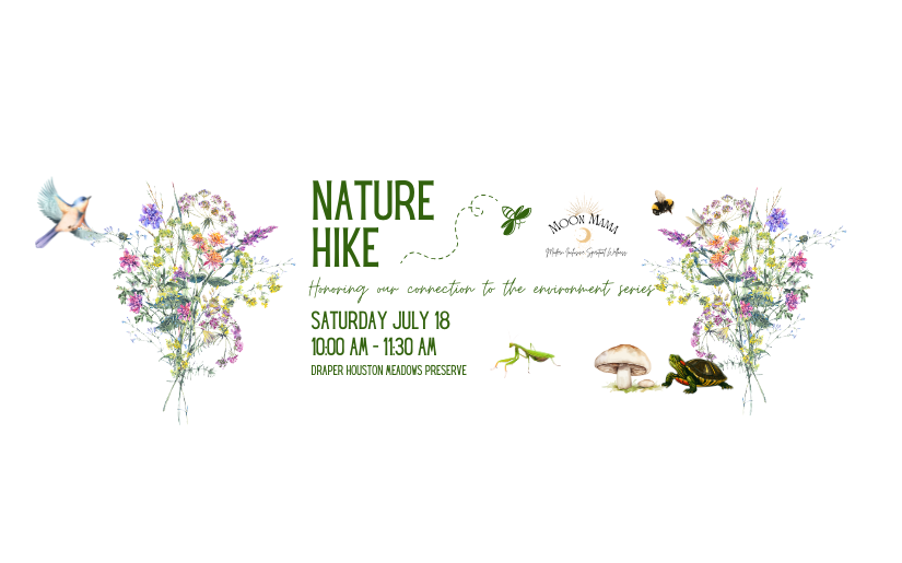 Nature Hike: Honoring our connection to the environment